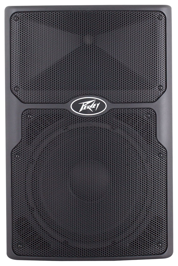  Peavey PVX 15