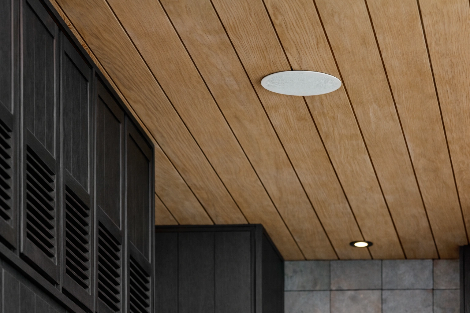 Dymension CI In Ceiling Series